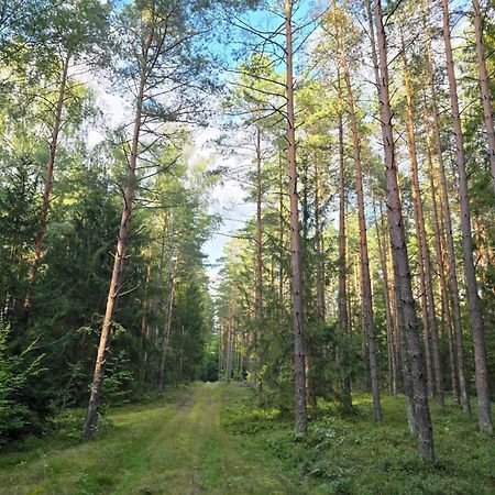 Bosko Siemiany - Bania, Jacuzzi, Kino Plenerowe, Ognisko, Rowery, Sup Villa Luaran gambar