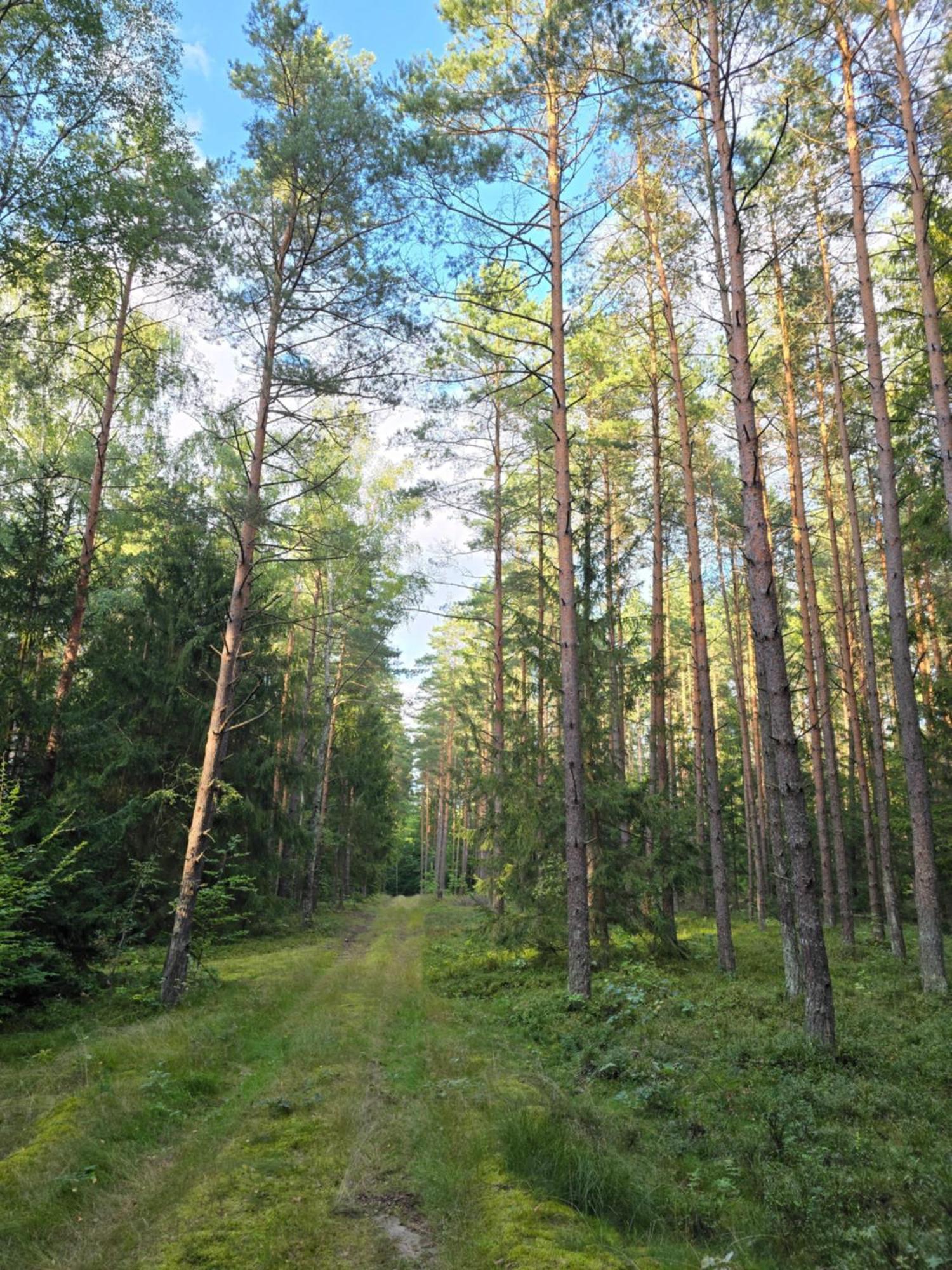 Bosko Siemiany - Bania, Jacuzzi, Kino Plenerowe, Ognisko, Rowery, Sup Villa Luaran gambar